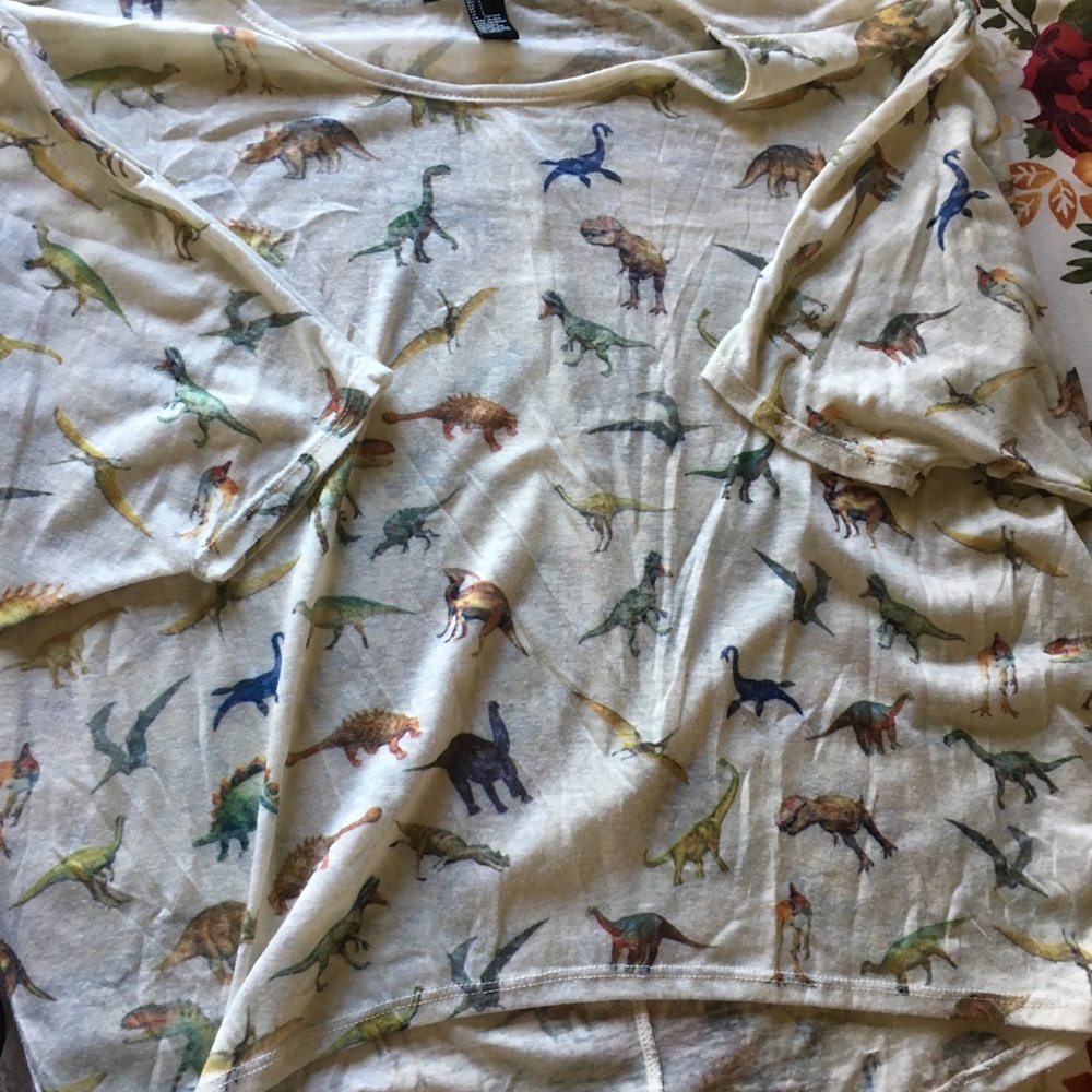 Dinosaur top